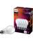 4PK 8W SW A19 LED BULB