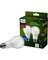 2PK 100WA19 SWFR LEDBULB