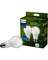 2PK 100WA19 DLFR LEDBULB