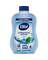 DIAL ANTIBACT SPRING WTR 30OZ