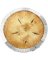 PIE CRUST SHIELD