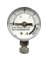 PRESSURE CANNER GAUGE