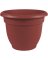 12" Union Red Ariana Pot