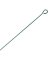 SINGLE LOOP PLANT STAKE