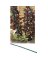 GARDENER'S STAKES BAMBOO  5'