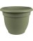 10" ARIANA LVGRN PLANTER