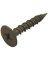 Do it 1-5/8 In. Phillips Cement Board Screw (1 Lb.)