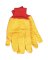 (m) 12pk Lrg Yel Chore Glove