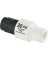 RAINDRIP 3/4" 30PSI REGULATOR