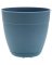 6" BL PLS DYTN PLANTER