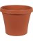 T.C. FLOWER POT8"