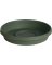 SAUCER POLY LV GREEN 14"