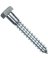 *5/16"x1" LAG SCREW