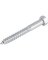 1/2"x2" LAG SCREW