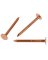 Hillman Anchor Wire 1-1/4 In. 11 ga Copper Slate Specialty Nails (5 Ct., 6