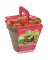 STRAWBERRY GROW KIT