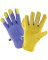 M/L WMN PRP PLYSTR GLOVE