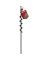18" GARDEN AUGER