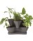 16 COLLINS CHRCL PLANTER