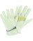 LRG GRAIN COWHIDE GLOVE