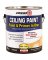 Zinsser Latex Paint & Primer In One Stainblock Flat Ceiling Paint, Bright