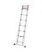 11 RNG TELESCOPIC LADDER