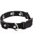 1x18-26 PAW REFL COLLAR