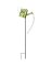 HUMBIRD WATERING CAN