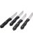 4pc Ss Steak Knife Set