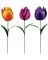 TULIP YARD STAKE