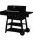 4BRNR PERF LP GAS GRILL