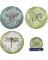 10" INSECT STEPPNG STONE