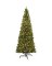 12' QC LED MTAPINE TREE