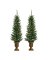 2PC 4' PTD CDR TREE SET CLR