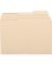 100PK 1/3 CUT FOLDER