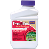 Pyrethrin Concentrate Pint