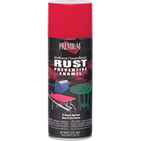 PAINT SPRAY IN EX BRT RED 12OZ