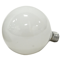 13664 CANDLE WHT BULB 60W 2CD