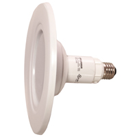 BULB LED INTGRTD 27K 15W/65W