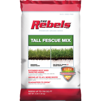 SEED REBEL TALL FESCUE MIX 3LB