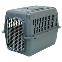 21182 PET PORTER INTERMEDIATE