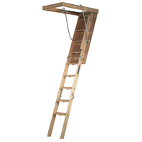 CS254P WOOD ATTICSTAIR25"X8'9"