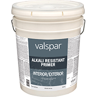 PROFESSIONAL PRIMER ALKALI PL