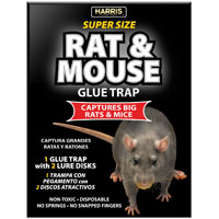 TRAP GLUE RAT 1PK 8.5 X 13.5IN