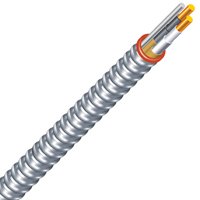 CABLE ARMORED STEEL 12/2 25FT