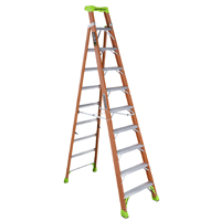 LADDER TYPE 1A F/G FXS1510 10'