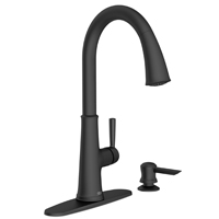 PULL DOWN FAUCET W/SOAP BLACK