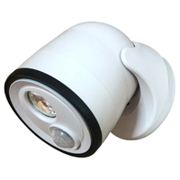 COB 400L WHT FLD Light