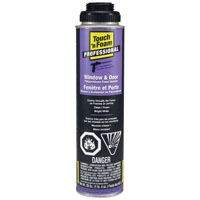 SEALANT FOAM WINDOW/DOOR 20OZ