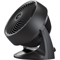 FAN/AIR CIRCULATOR 3-SPEED BLK